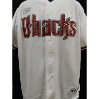 Brandon Webb Arizona Diamondbacks Signed Replica Jersey JSA MLB Authenticated