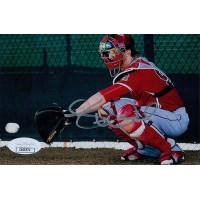 Taylor Ward Los Angeles Angels Signed 4x6 Glossy Photo JSA Authenticated Taylor Ward Los Angeles Angels Signed 4x6 Glossy Photo JSA Authenticated