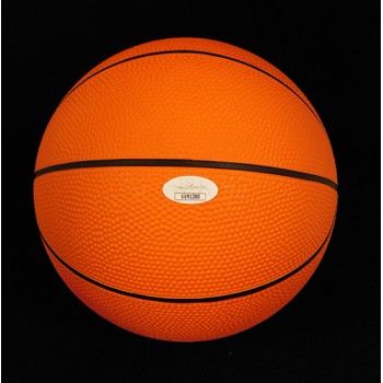 Danny Fortson Signed Wilson 8" Mini NBA Basketball JSA Authenticated