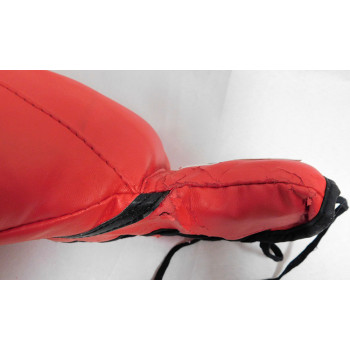 Josesito Lopez Boxer Signed Red Everlast Boxing Glove PSA Authenticated