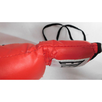 Josesito Lopez Boxer Signed Red Everlast Boxing Glove PSA Authenticated