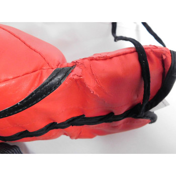 Josesito Lopez Boxer Signed Red Everlast Boxing Glove PSA Authenticated