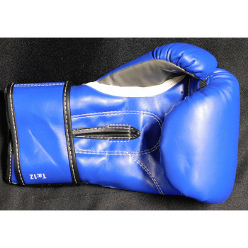 Sergio Martinez Miguel Cotto Boxer Signed Blue Boxing Glove PSA Authenticated