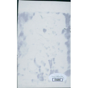 Ron Ferdinand Cartoonist Signed 3x4.5 Cut Sketch JSA Authenticated Personalized