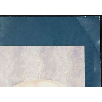 Olivia De Berardinis Signed Tapioca 16x20 Lithograph Art Poster JSA Authentic