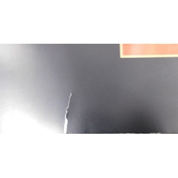 Olivia De Berardinis Signed Bazooka 22x38 Lithograph Art Poster JSA Authentic