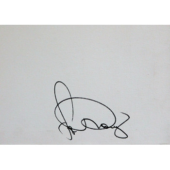 Faye Dunaway Actress Signed 16x20 Stretched Canvas JSA Authenticated