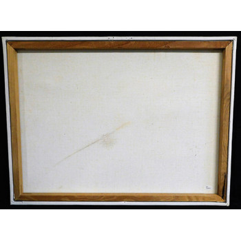 Liza Minnelli Signed 18x24 One Of A Kind Hand Painted Canvas JSA Authenticated