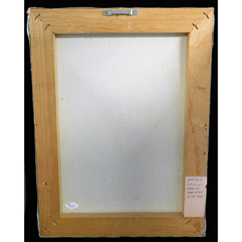 Brooke Shields Signed 12x16 One Of A Kind Hand Painted Canvas JSA Authenticated