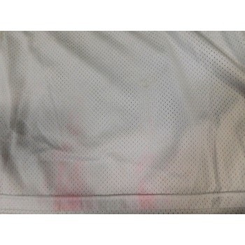 Randall Cunningham Signed Philadelphia Eagles Authentic Jersey JSA Authenticated