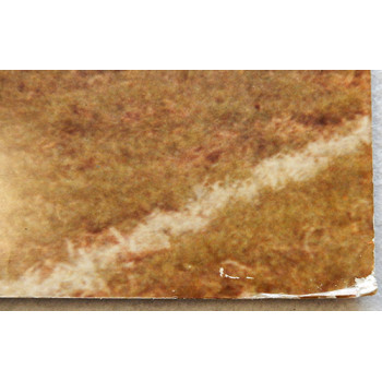 O.J. Simpson USC Trojans Signed 20x30 Poster Photo JSA Authenticated O.J. Simpson USC Trojans Signed 20x30 Poster Photo JSA Authenticated