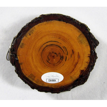 Samuel Armenteros Portland Timbers Signed 4 inch Piece of Wood JSA Authenticated