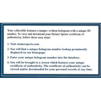 Sheamus WWE Wrestler Signed 8x10 Glossy Photo Steiner Authenticated