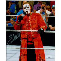 Sting Steve Borden WWF WWE WCW Wrestler Signed 8x10 Glossy Photo JSA Authentic Sting Steve Borden WWF WWE WCW Wrestler Signed 8x10 Glossy Photo JSA Authentic